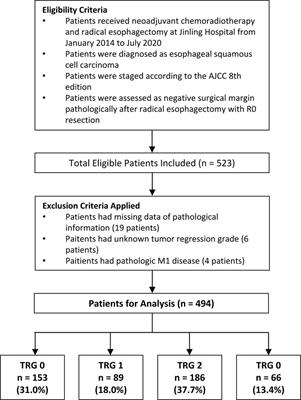 Prognostic significance of tumor regression grade in esophageal squamous cell carcinoma after neoadjuvant chemoradiation